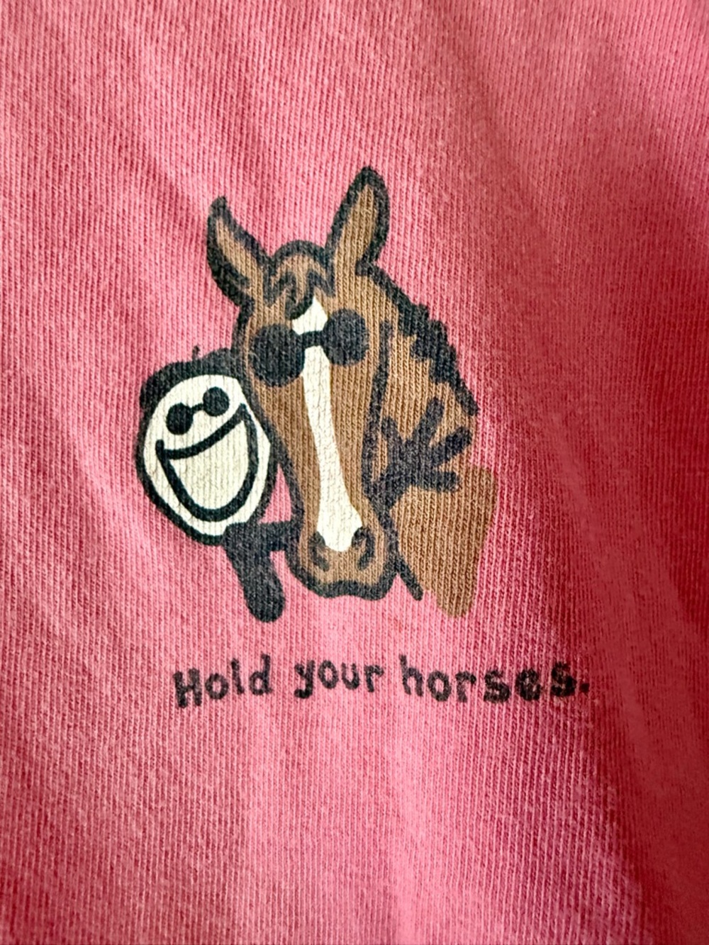 Vintage Y2K Life is Good kids long sleeve tee Hold Your Horses